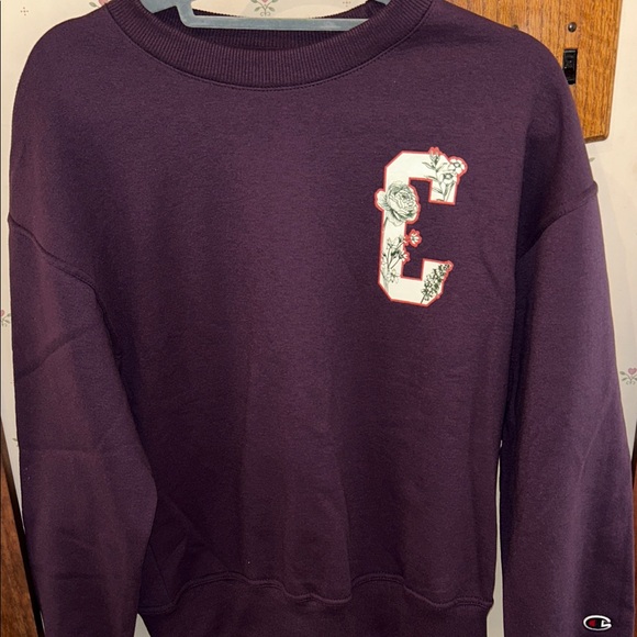 Champion Sweatshirt - Picture 1 of 7